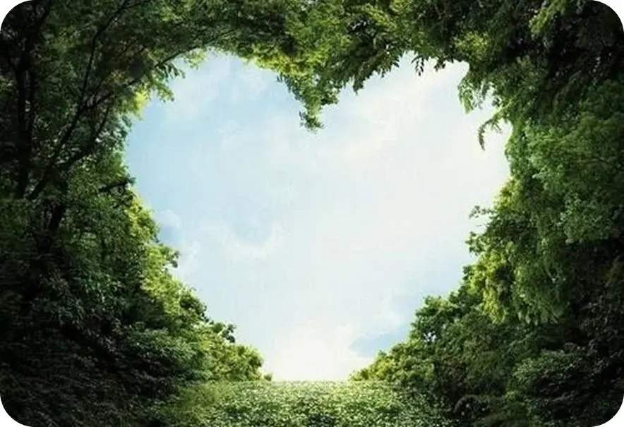 Our Green Efforts